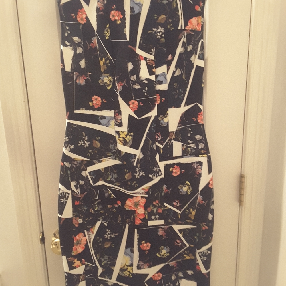 Erdem Floral Print Dress